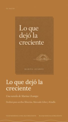 Versión para historias del anuncio
